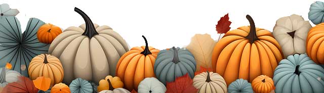 Acción de Gracias. Pumpkins. Happy Thanksgiving Spanish right away learn Dia de Action de gracias