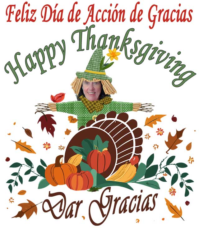 Happy Thanksgiving! Spanish right away learn Dia de Action de gracias